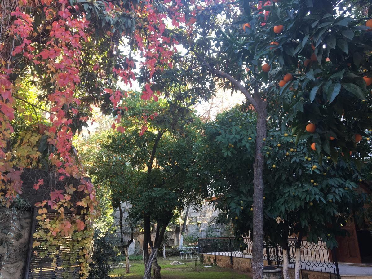 Citrus Garden Hotel Antalya Exterior foto