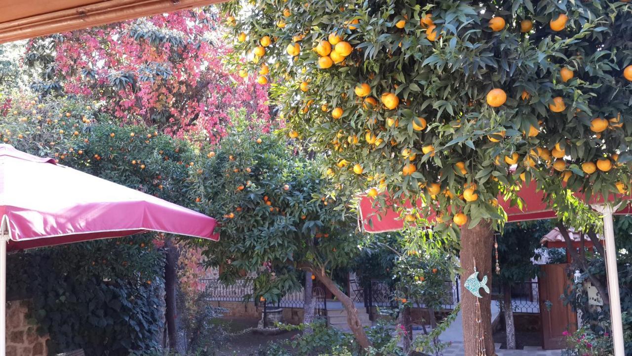 Citrus Garden Hotel Antalya Exterior foto