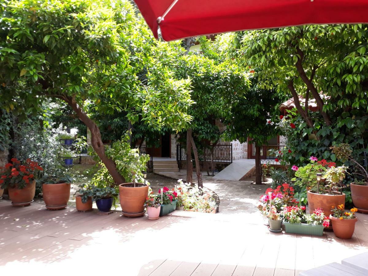 Citrus Garden Hotel Antalya Exterior foto